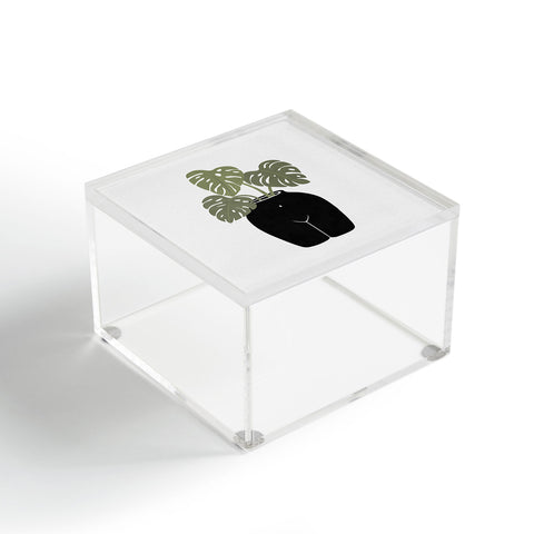 Orara Studio Body Tanical Vase Acrylic Box