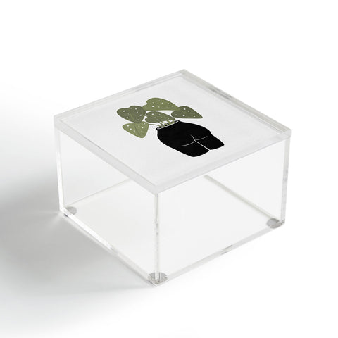 Orara Studio Butt Anical Vase Acrylic Box