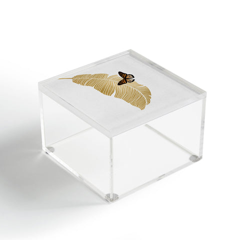 Orara Studio Butterfly and Palm Leaf Acrylic Box