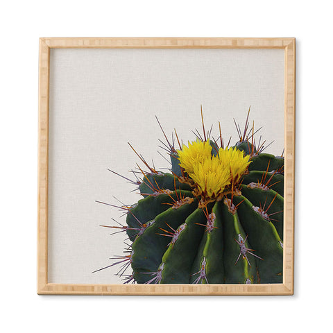 Orara Studio Flower Cactus Framed Wall Art