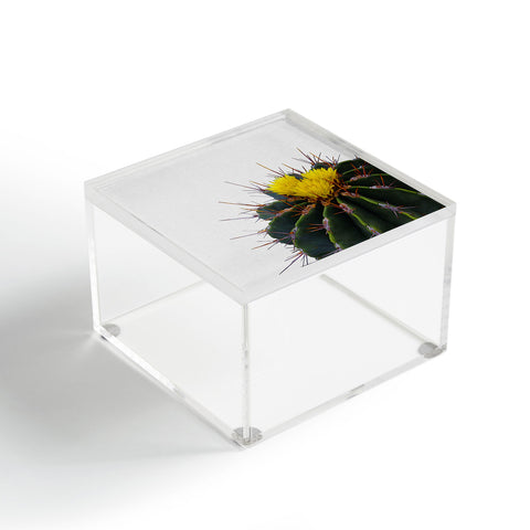 Orara Studio Flower Cactus Acrylic Box