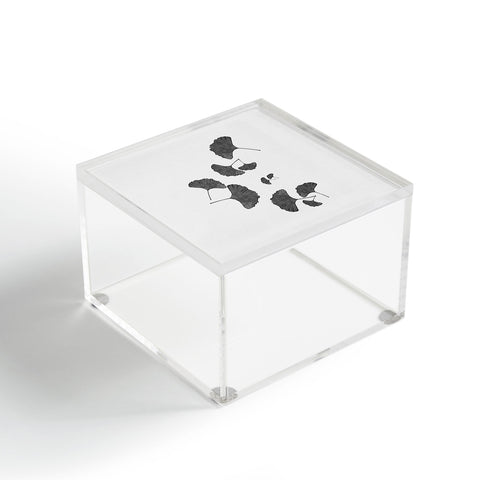 Orara Studio Ginkgo Leaf Black and White I Acrylic Box