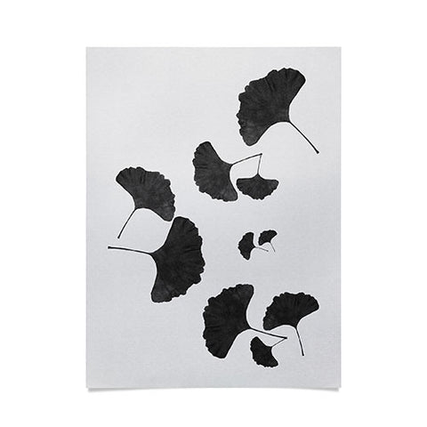 Orara Studio Ginkgo Leaf Black and White I Poster