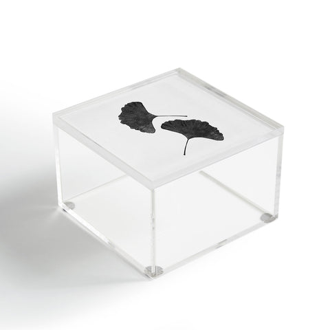 Orara Studio Ginkgo Leaf Black and White II Acrylic Box