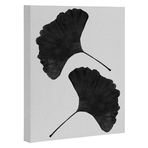 Orara Studio Ginkgo Leaf Black and White II Art Canvas