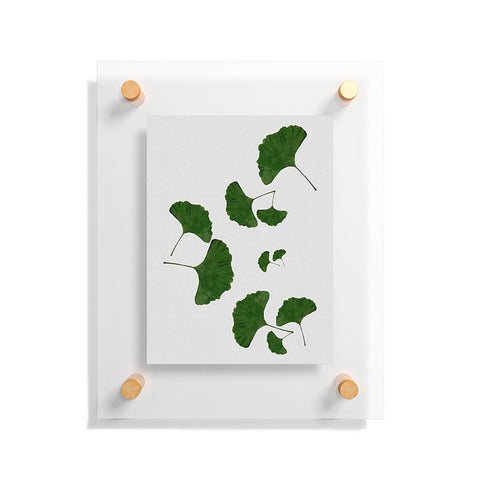 Orara Studio Ginkgo Leaf I Floating Acrylic Print