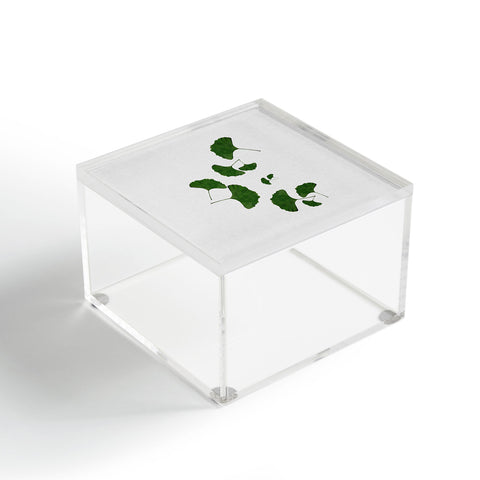 Orara Studio Ginkgo Leaf I Acrylic Box
