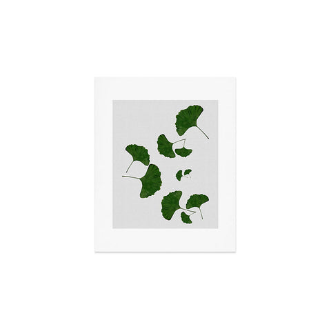 Orara Studio Ginkgo Leaf I Art Print