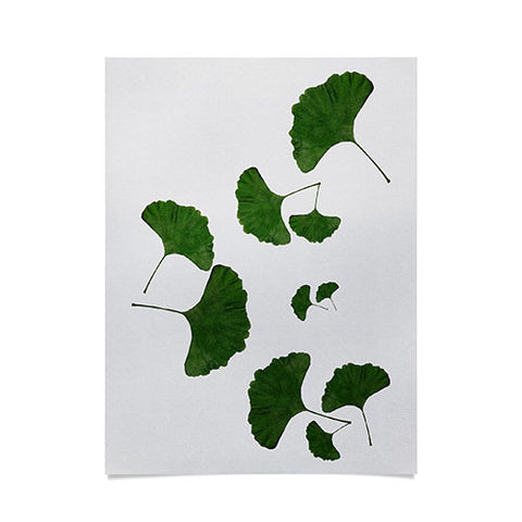 Orara Studio Ginkgo Leaf I Poster