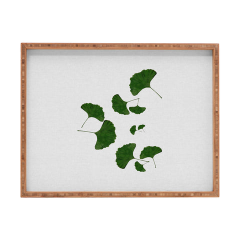 Orara Studio Ginkgo Leaf I Rectangular Tray