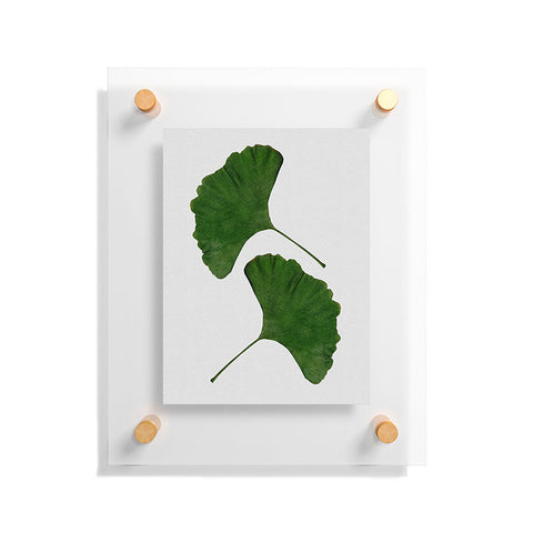 Orara Studio Ginkgo Leaf II Floating Acrylic Print