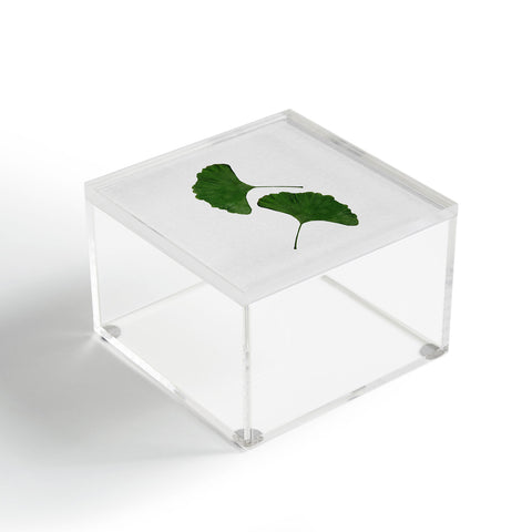 Orara Studio Ginkgo Leaf II Acrylic Box