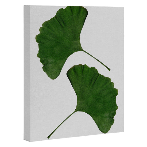 Orara Studio Ginkgo Leaf II Art Canvas
