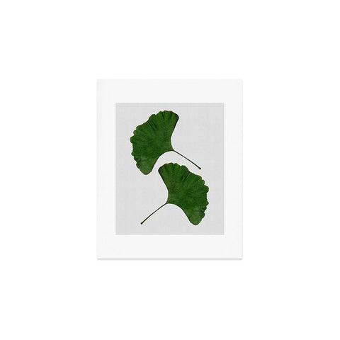 Orara Studio Ginkgo Leaf II Art Print