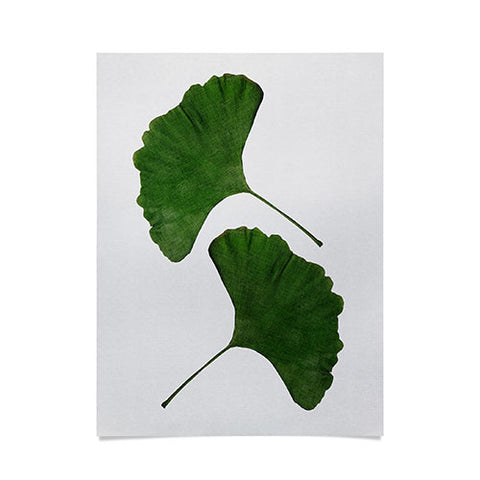Orara Studio Ginkgo Leaf II Poster