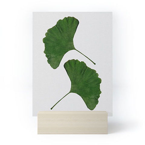 Orara Studio Ginkgo Leaf II Mini Art Print