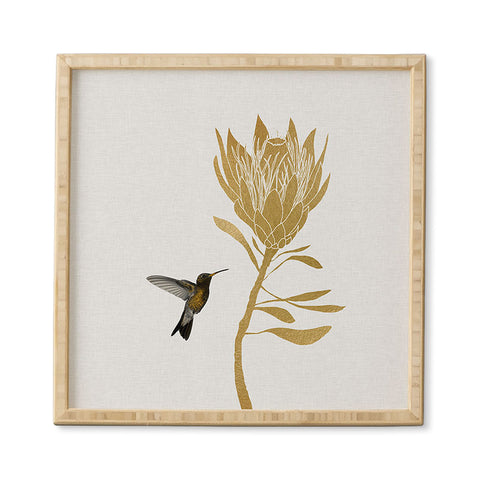 Orara Studio Hummingbird and Flower I Framed Wall Art