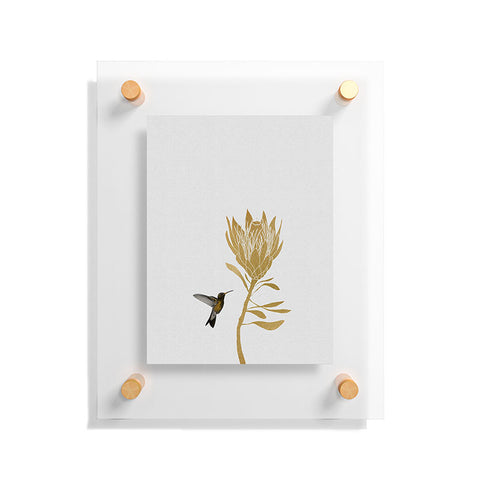 Orara Studio Hummingbird and Flower I Floating Acrylic Print