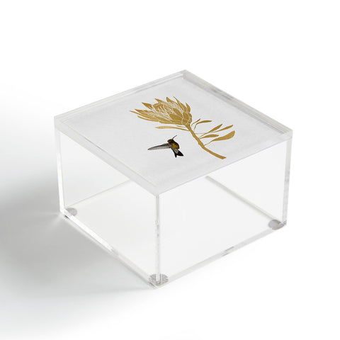 Orara Studio Hummingbird and Flower I Acrylic Box