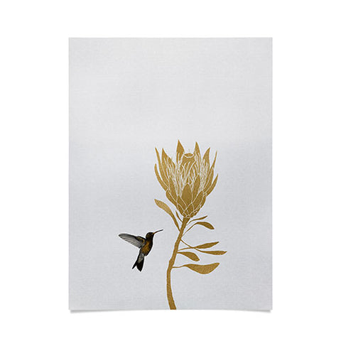 Orara Studio Hummingbird and Flower I Poster