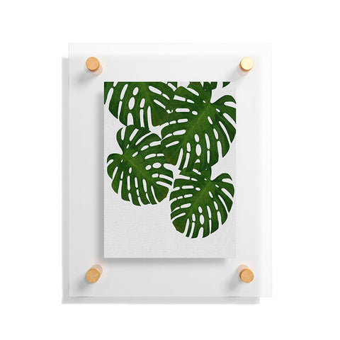 Orara Studio Monstera Leaf IV Floating Acrylic Print