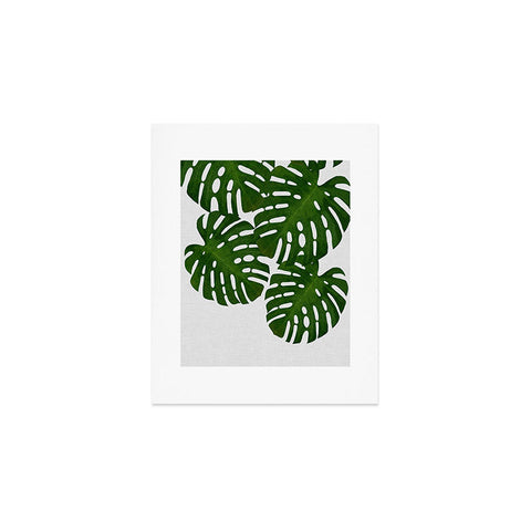 Orara Studio Monstera Leaf IV Art Print