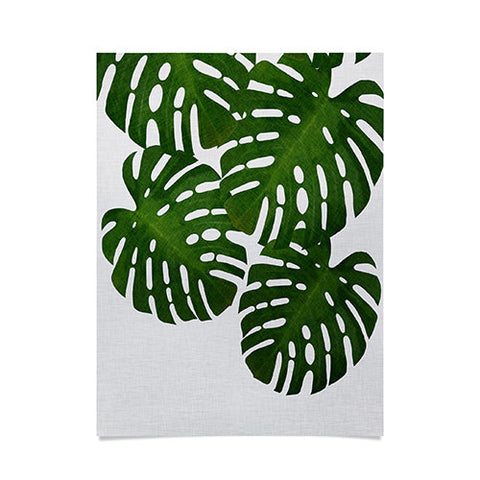 Orara Studio Monstera Leaf IV Poster