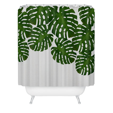 Orara Studio Monstera Leaf IV Shower Curtain