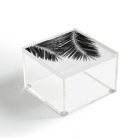 Orara Studio Palm Leaf Black and White II Acrylic Box