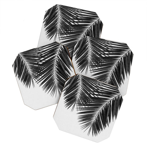 Orara Studio Palm Leaf Black and White II Coaster Set