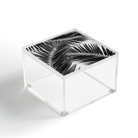 Orara Studio Palm Leaf Black and White III Acrylic Box