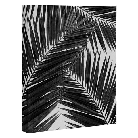 Orara Studio Palm Leaf Black and White III Art Canvas