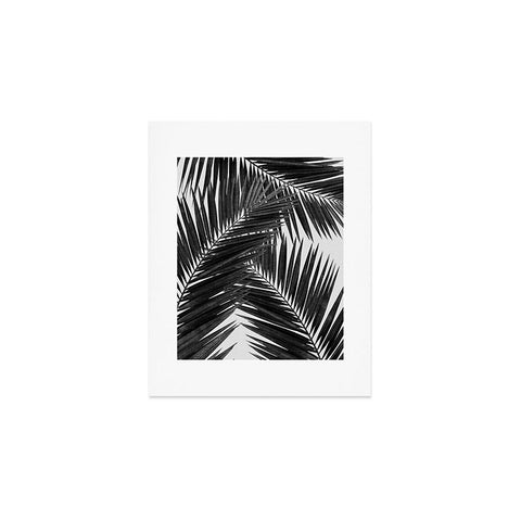 Orara Studio Palm Leaf Black and White III Art Print