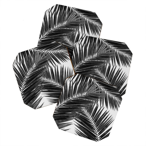Orara Studio Palm Leaf Black and White III Coaster Set