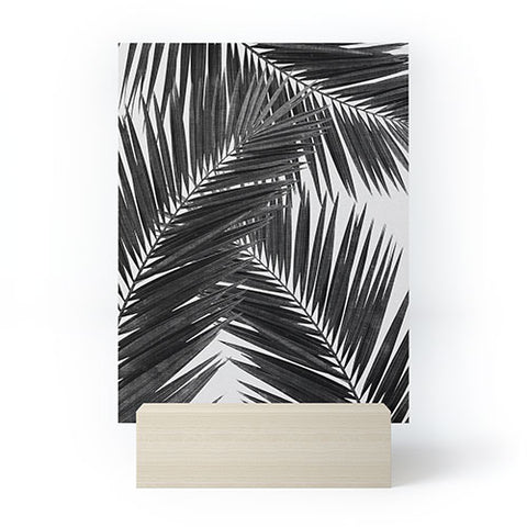 Orara Studio Palm Leaf Black and White III Mini Art Print