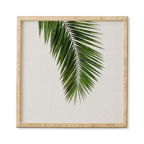 Orara Studio Palm Leaf I Framed Wall Art