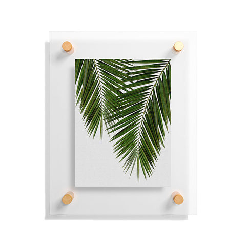 Orara Studio Palm Leaf II Floating Acrylic Print