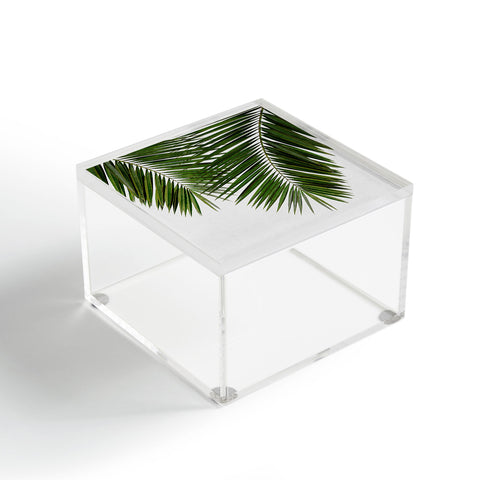 Orara Studio Palm Leaf II Acrylic Box
