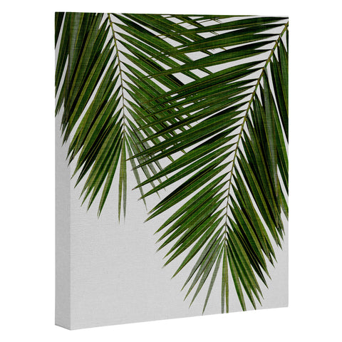 Orara Studio Palm Leaf II Art Canvas