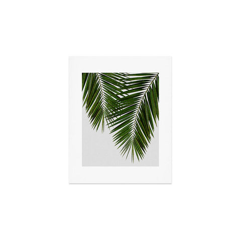 Orara Studio Palm Leaf II Art Print