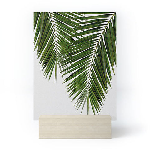 Orara Studio Palm Leaf II Mini Art Print