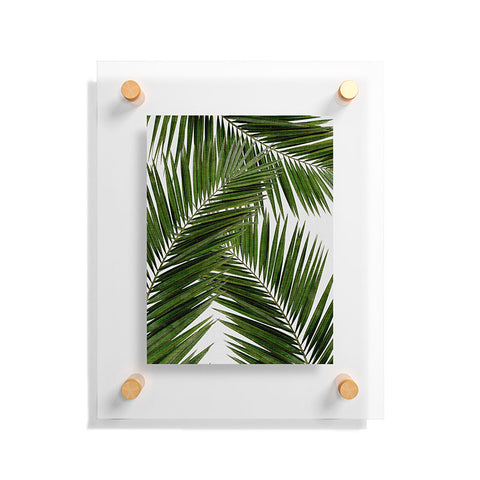 Orara Studio Palm Leaf III Floating Acrylic Print