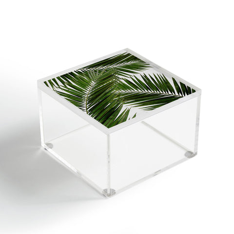 Orara Studio Palm Leaf III Acrylic Box