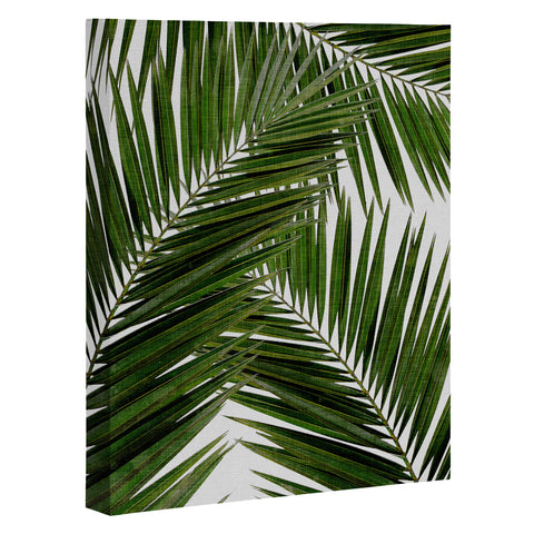 Orara Studio Palm Leaf III Art Canvas