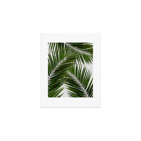 Orara Studio Palm Leaf III Art Print