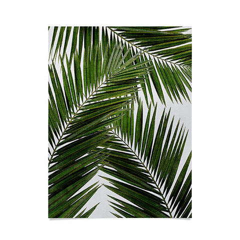 Orara Studio Palm Leaf III Poster
