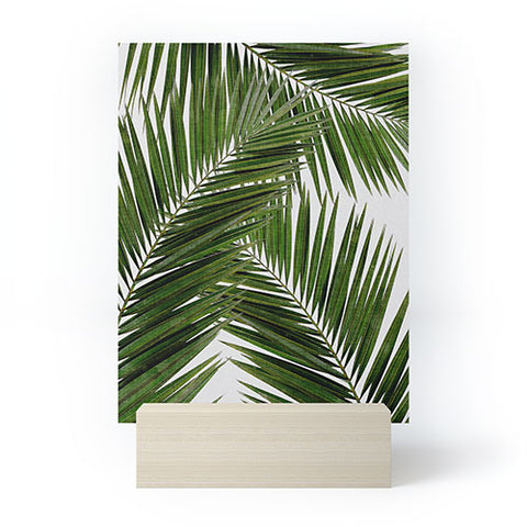 Orara Studio Palm Leaf III Mini Art Print