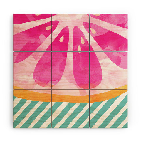 Orara Studio Pink Grapefruit Abstract Wood Wall Mural