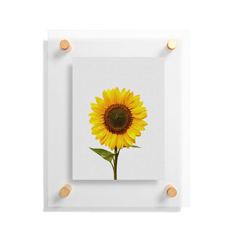 Orara Studio Sunflower Still Life Floating Acrylic Print