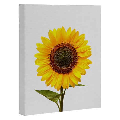 Orara Studio Sunflower Still Life Art Canvas